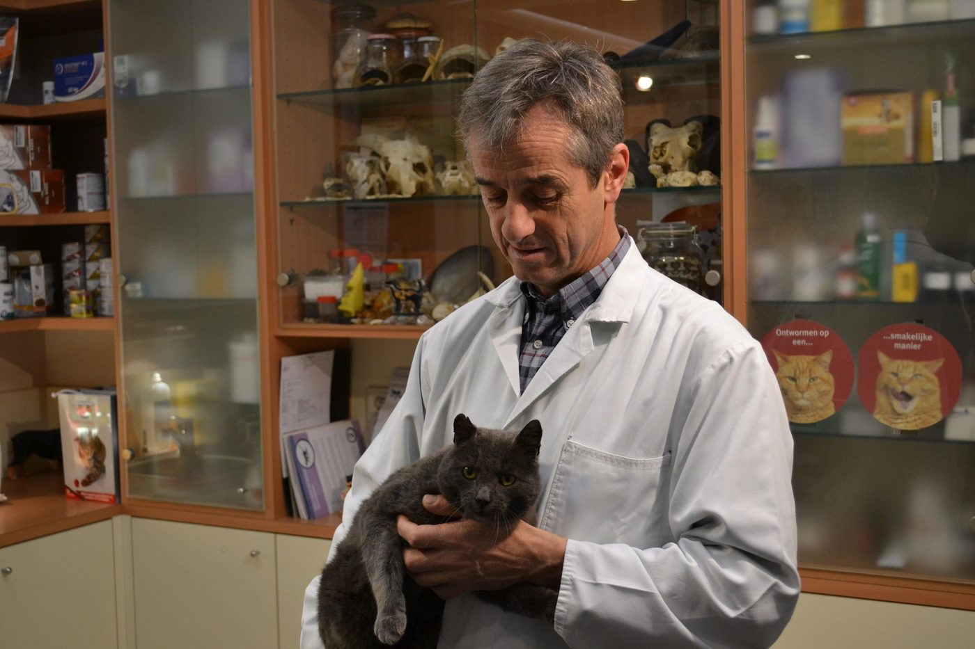 Dierenarts Marc Beckers met een kat